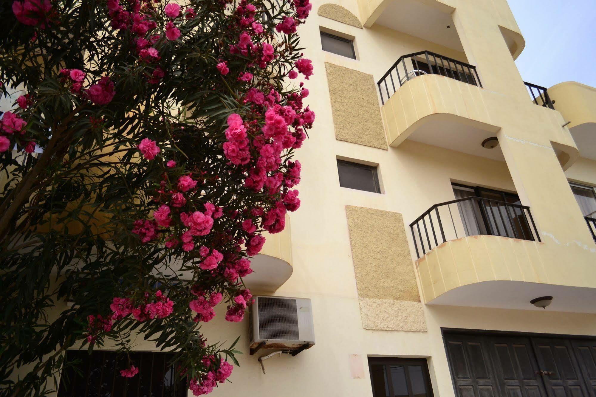Hotel Central Sal Santa Maria Dış mekan fotoğraf